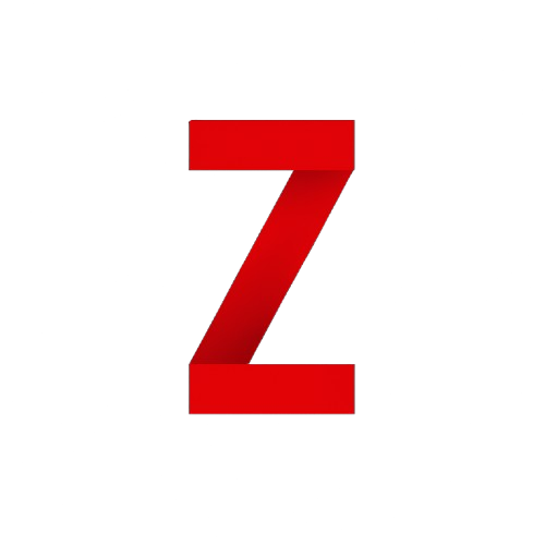 ZamsHub Logo